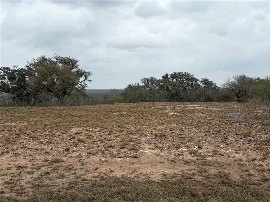 1.6 acres in Live Oak County featured view