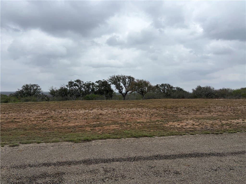 1.6 acres in Live Oak County - photo 7