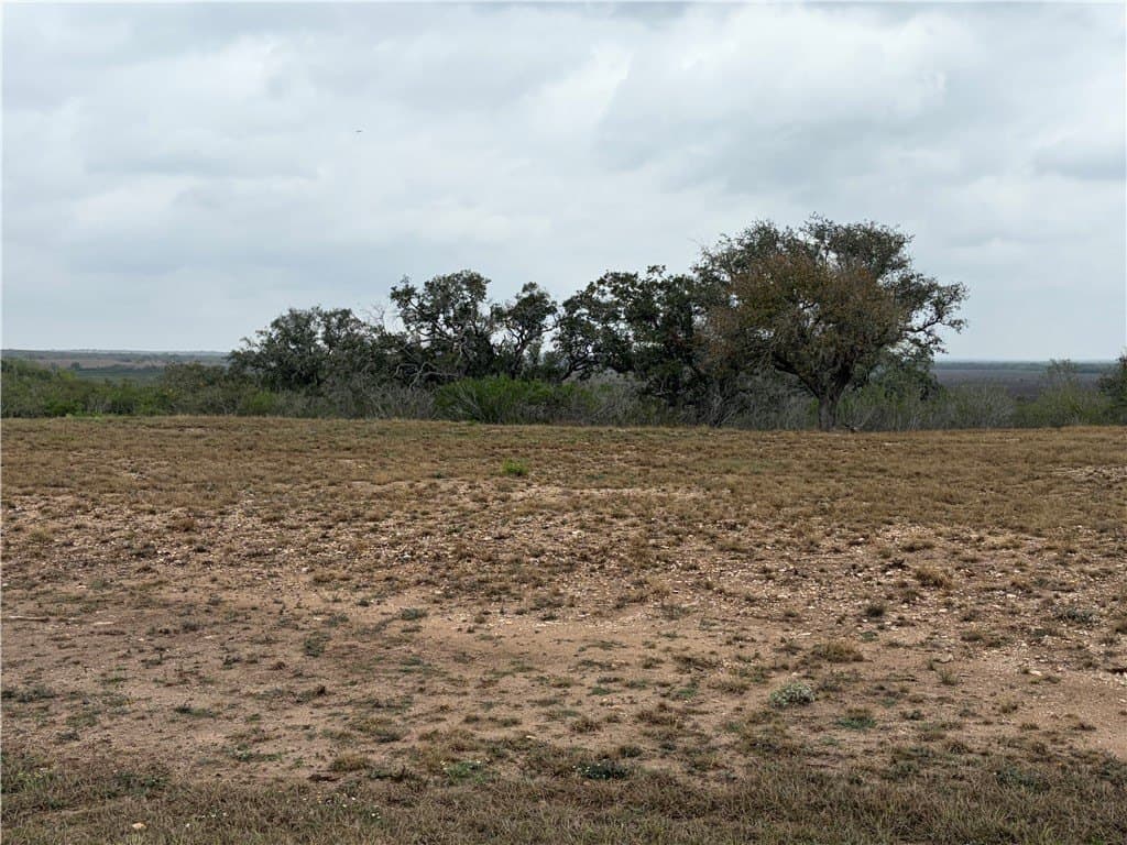 1.6 acres in Live Oak County - photo 15