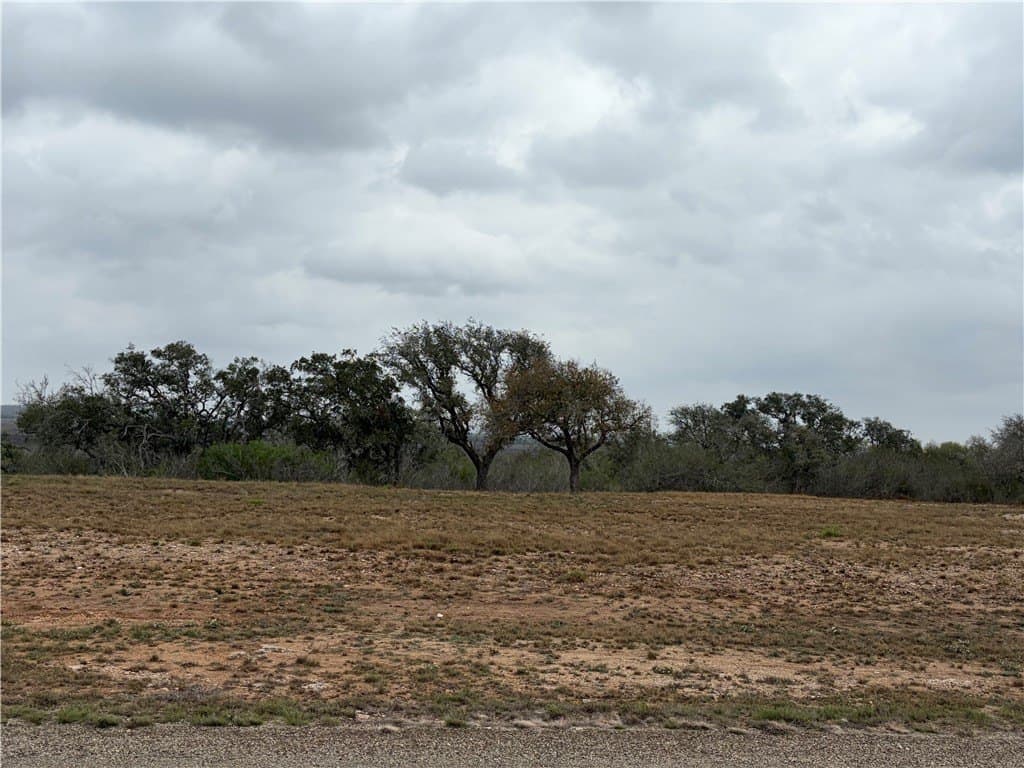 1.6 acres in Live Oak County - photo 6