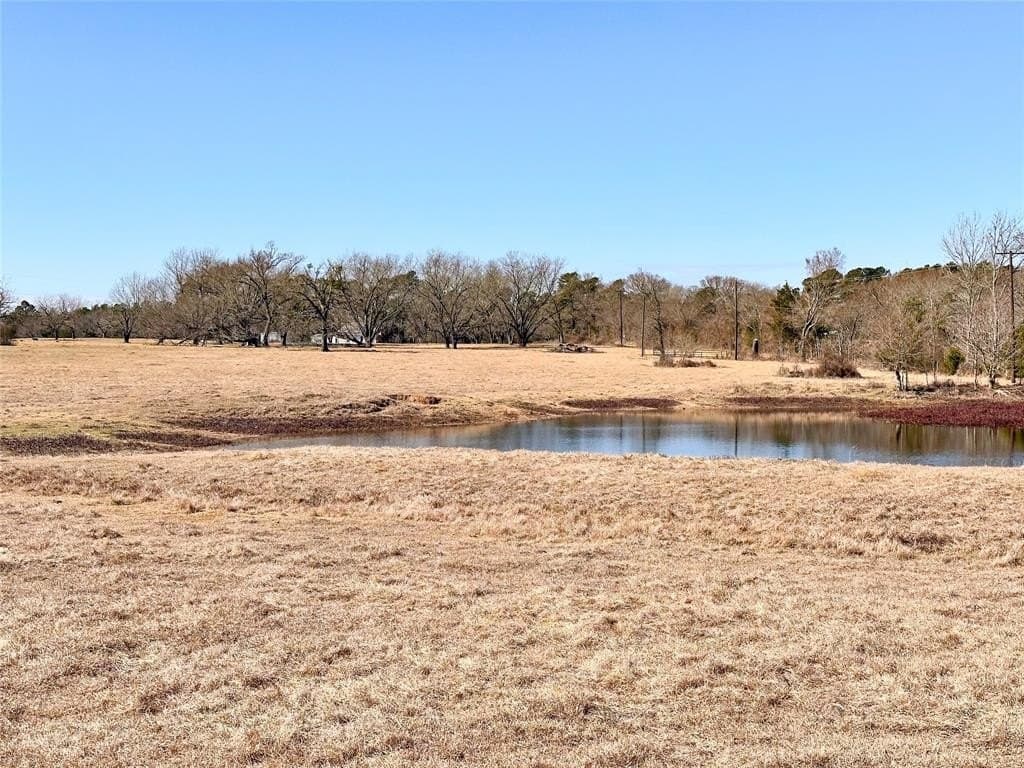 73.9 acres in Anderson County gallery image 4