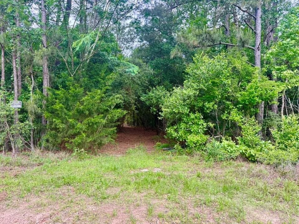 17 acres in Texas County - photo 9