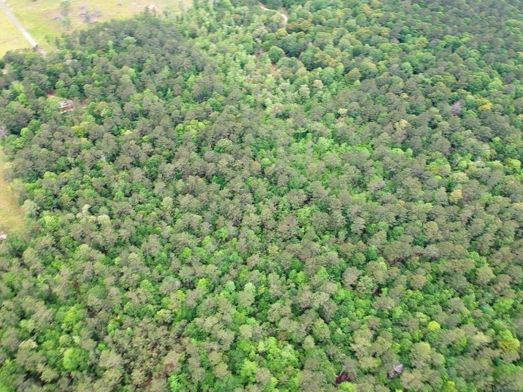 17 acres in Texas County - photo 23