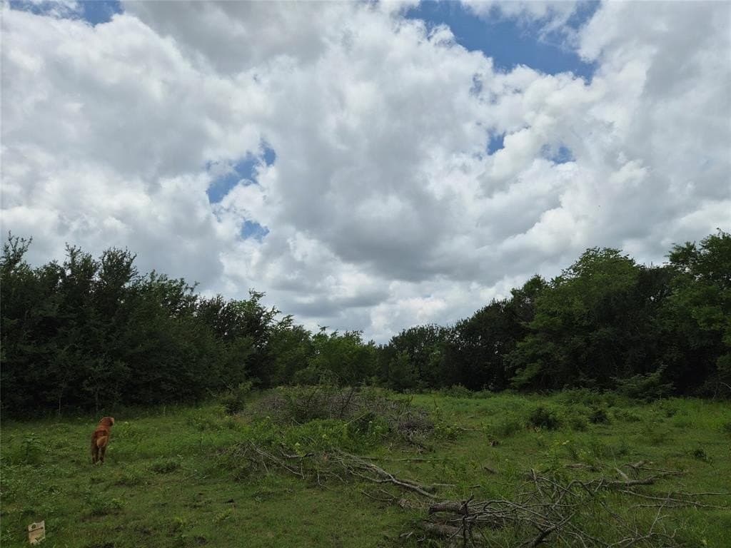 3 acres in Hunt County gallery image 2