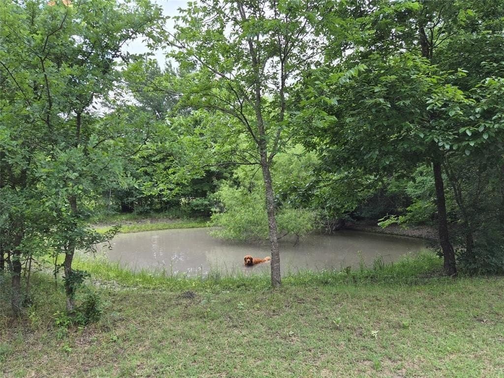 3 acres in Hunt County gallery image 4