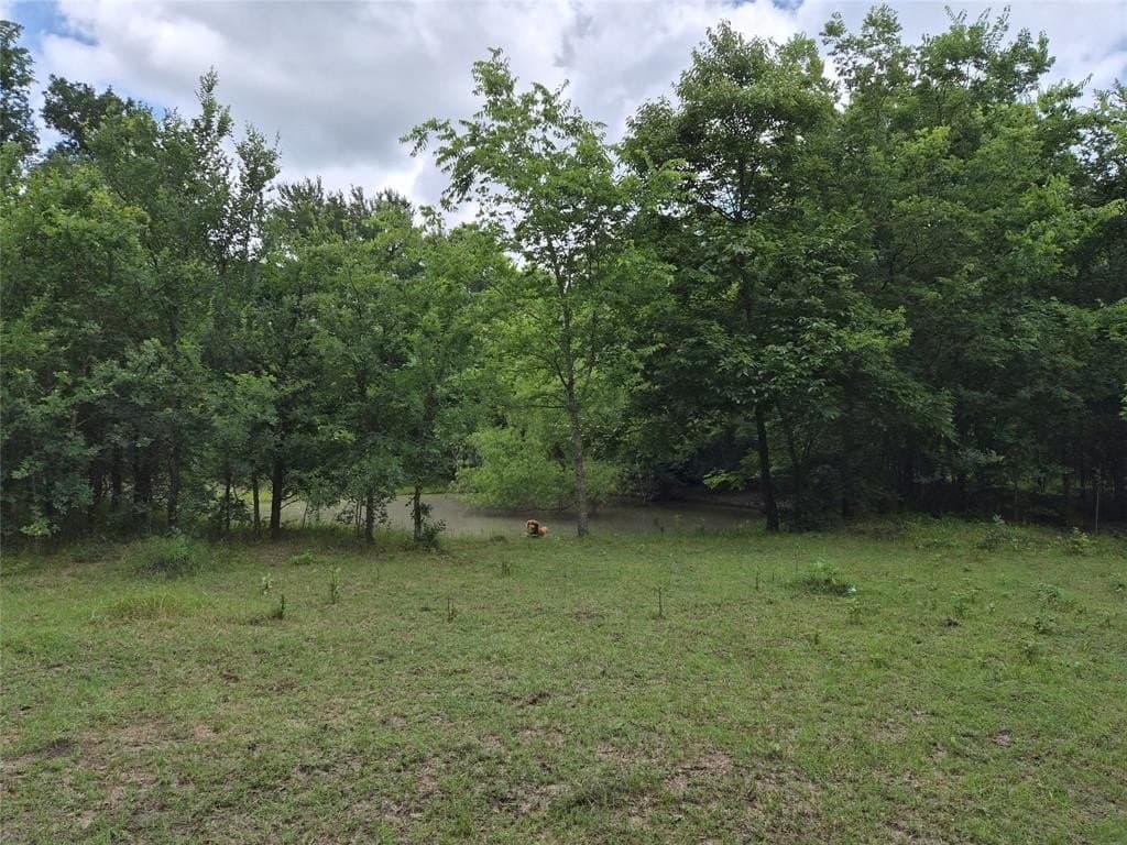 3 acres in Hunt County gallery image 3