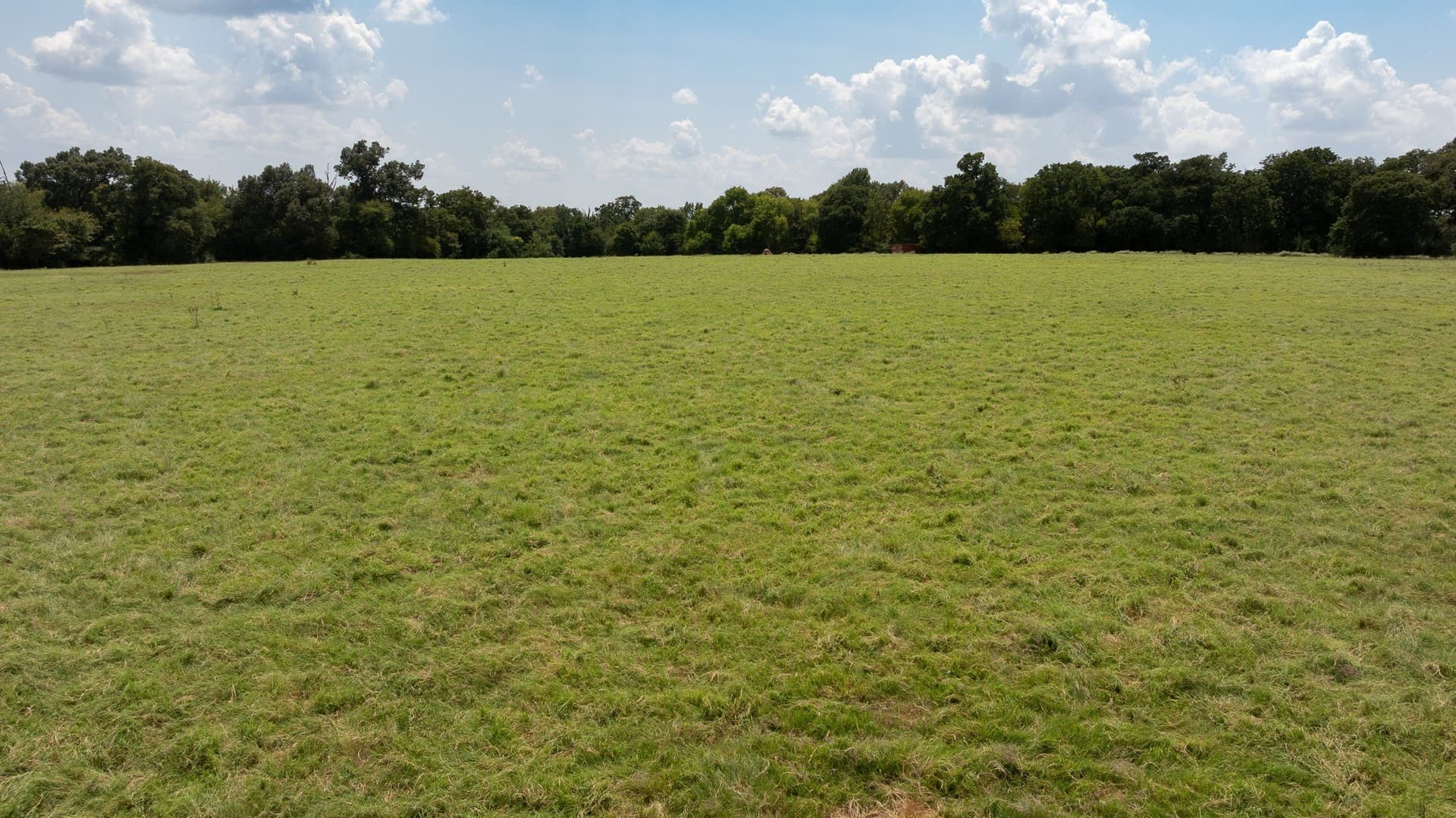 47.04 acres in Cherokee County - photo 36