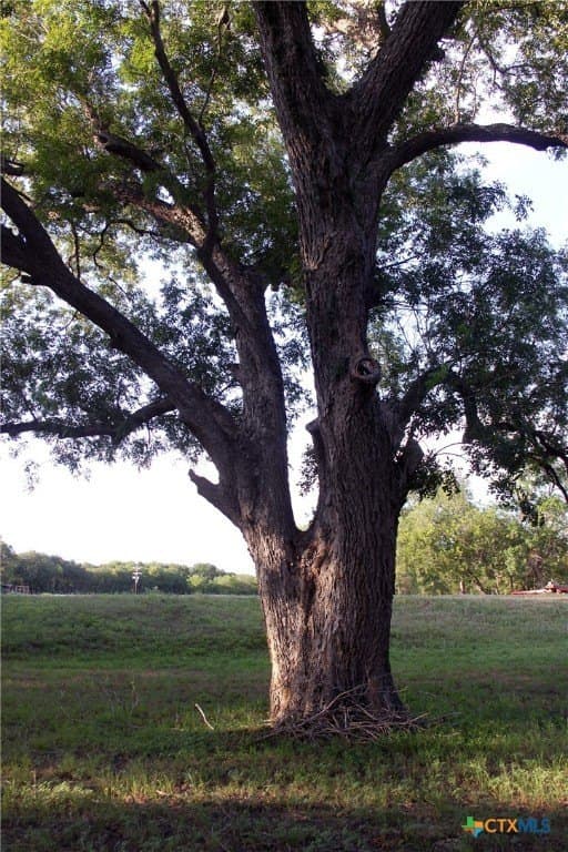 8.06 acres in Caldwell County - photo 24