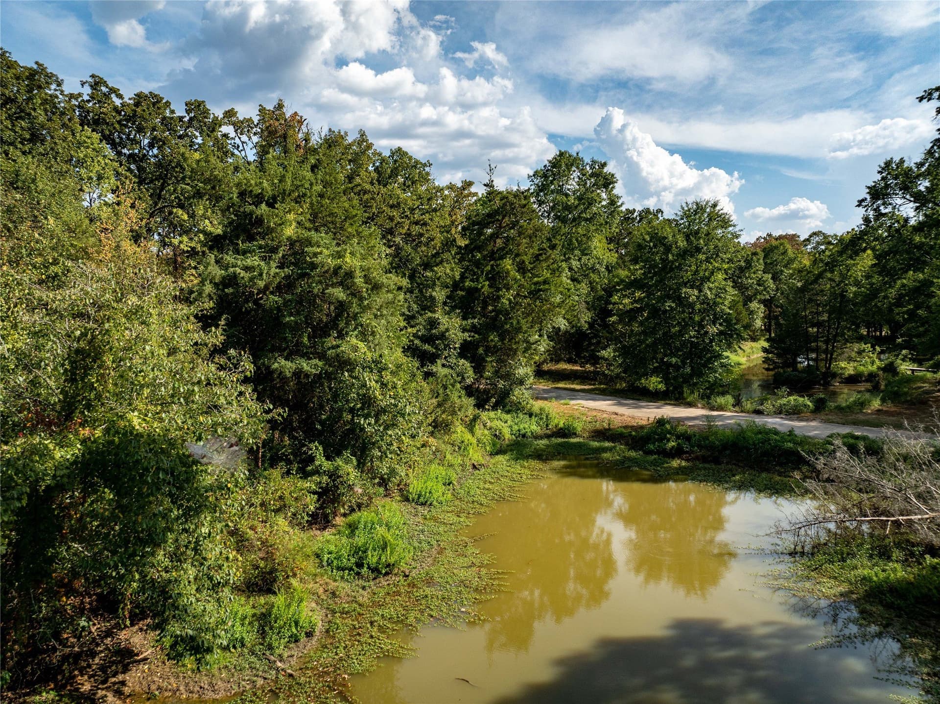 0.74 acres in Lamar County gallery image 4