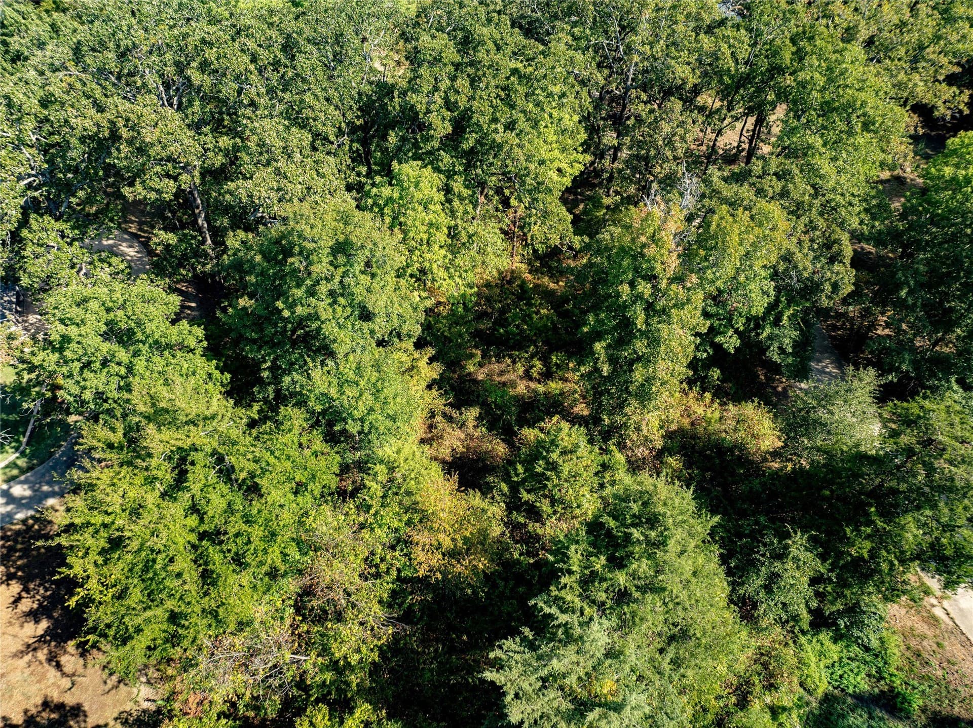 0.74 acres in Lamar County gallery image 3