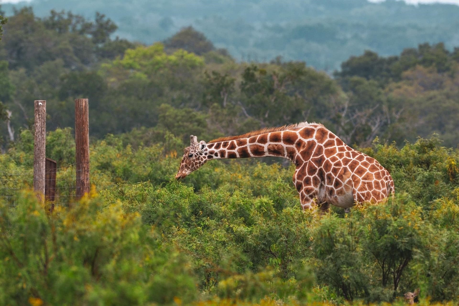 105.21 acres in Out of Area County