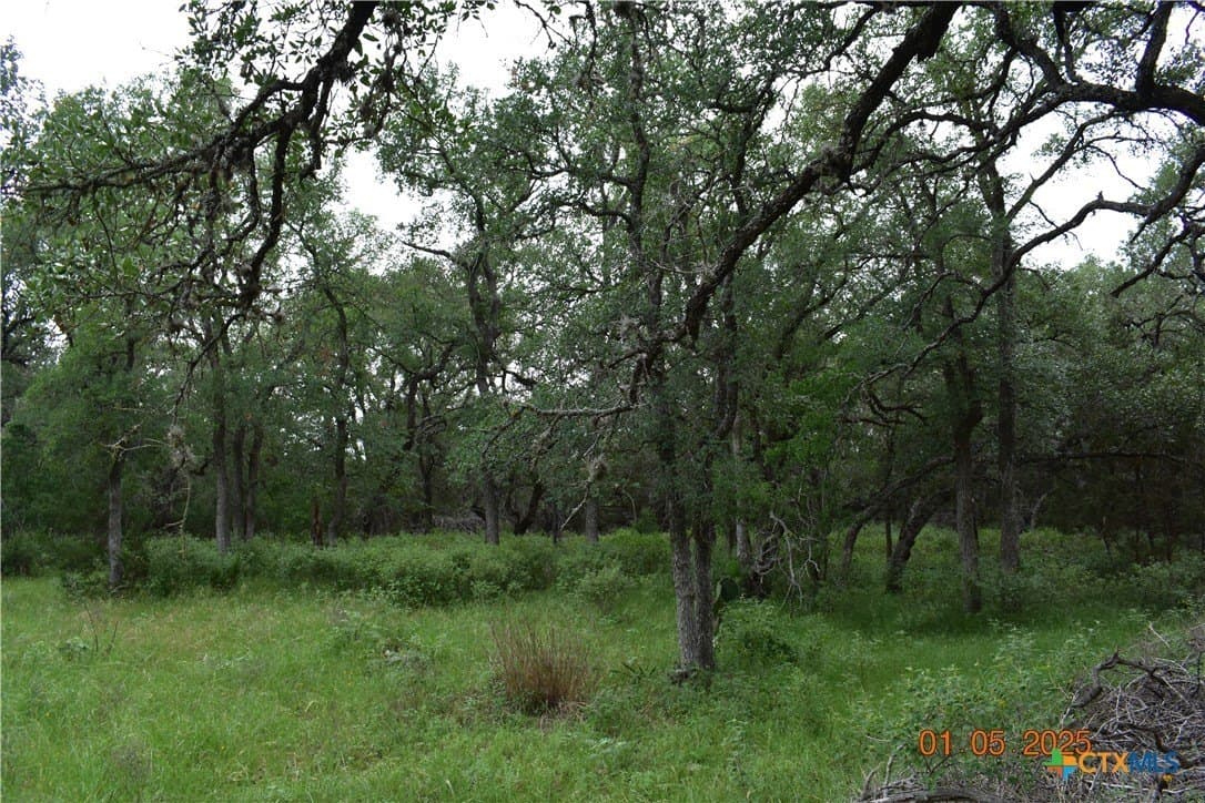 1.15 acres in Comal County gallery image 3