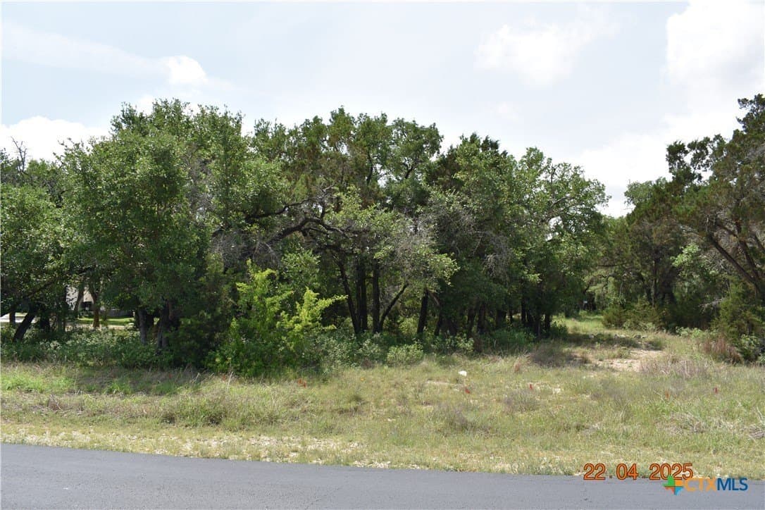 1.15 acres in Comal County gallery image 2