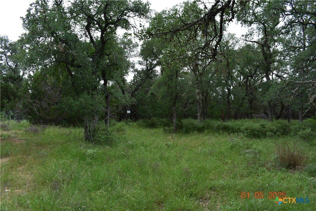 1.15 acres in Comal County gallery image 4
