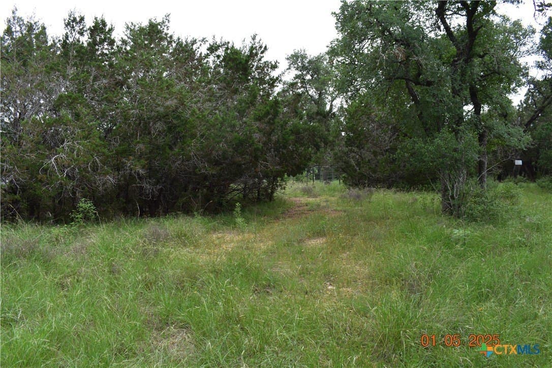 1.15 acres in Comal County featured view