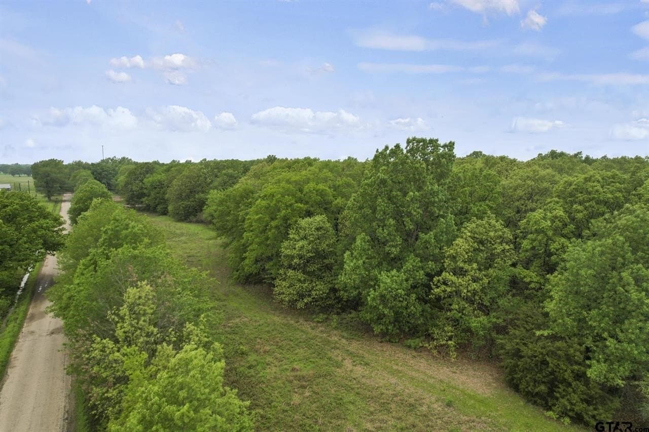 20 acres in Franklin (TX) County - photo 9