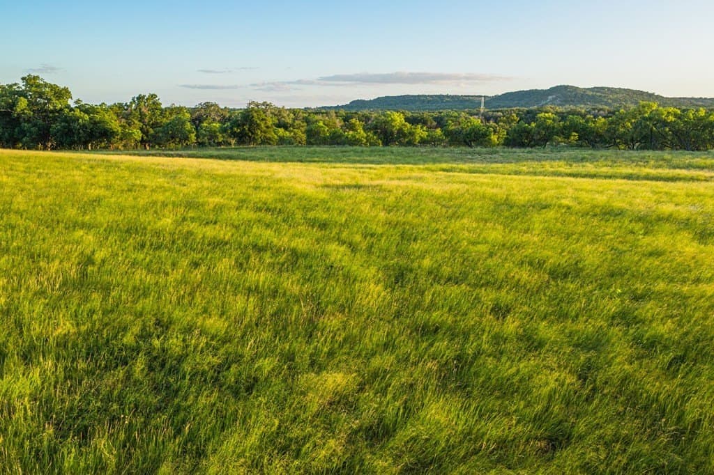 95.49 acres in Gillespie County featured view