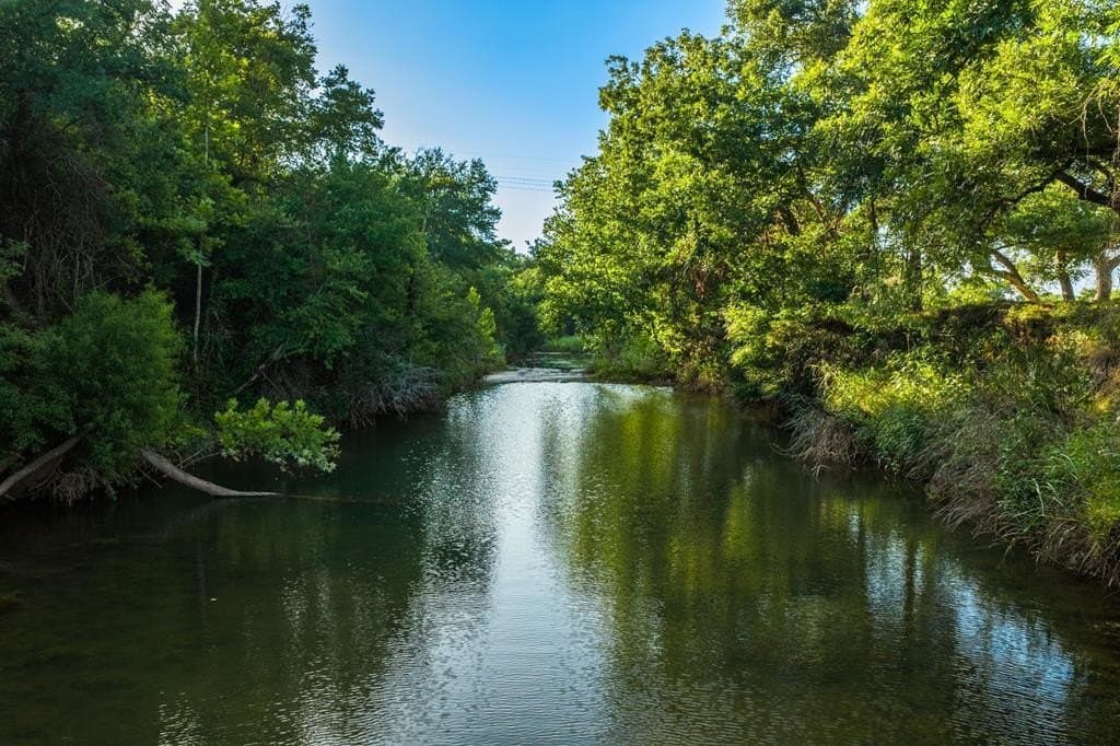 95.49 acres in Gillespie County gallery image 2