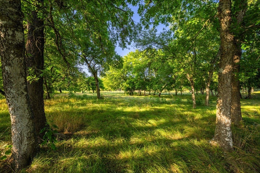 95.49 acres in Gillespie County - photo 37