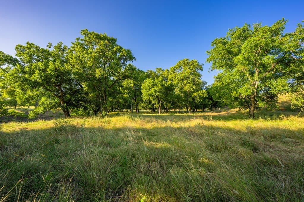 95.49 acres in Gillespie County - photo 40