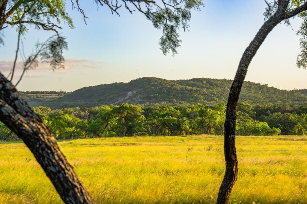95.49 acres in Gillespie County - photo 9