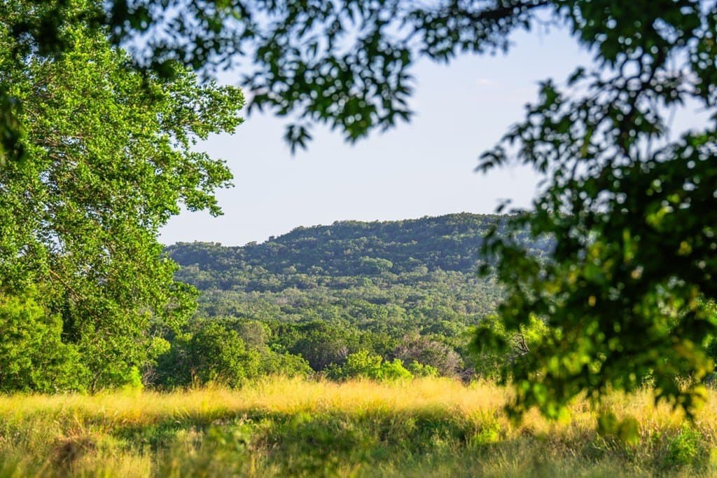 95.49 acres in Gillespie County - photo 6