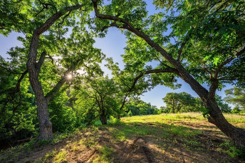 95.49 acres in Gillespie County - photo 41