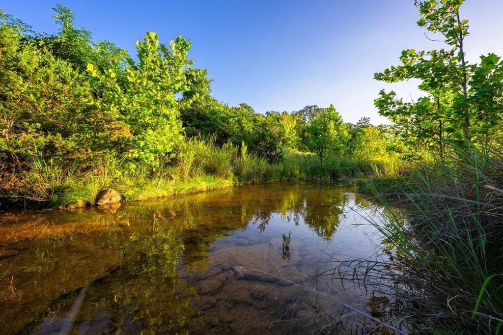95.49 acres in Gillespie County