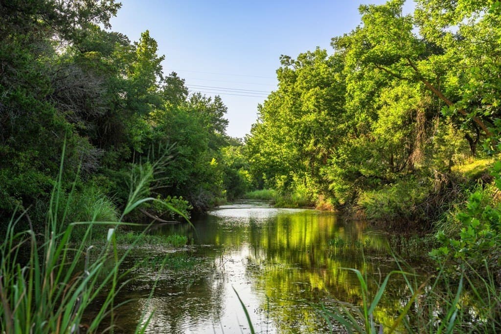 95.49 acres in Gillespie County gallery image 3