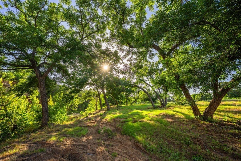 95.49 acres in Gillespie County - photo 36