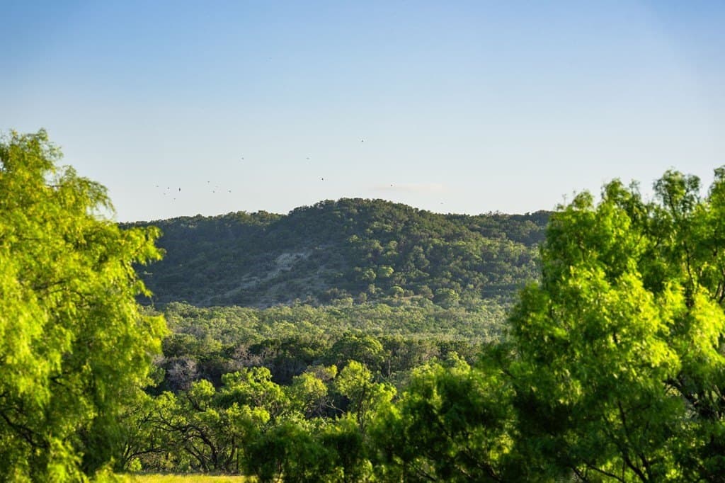 95.49 acres in Gillespie County - photo 38