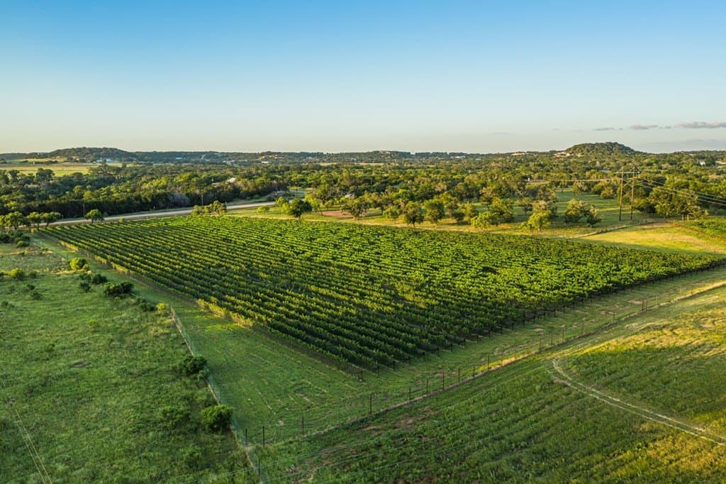 95.49 acres in Gillespie County - photo 45