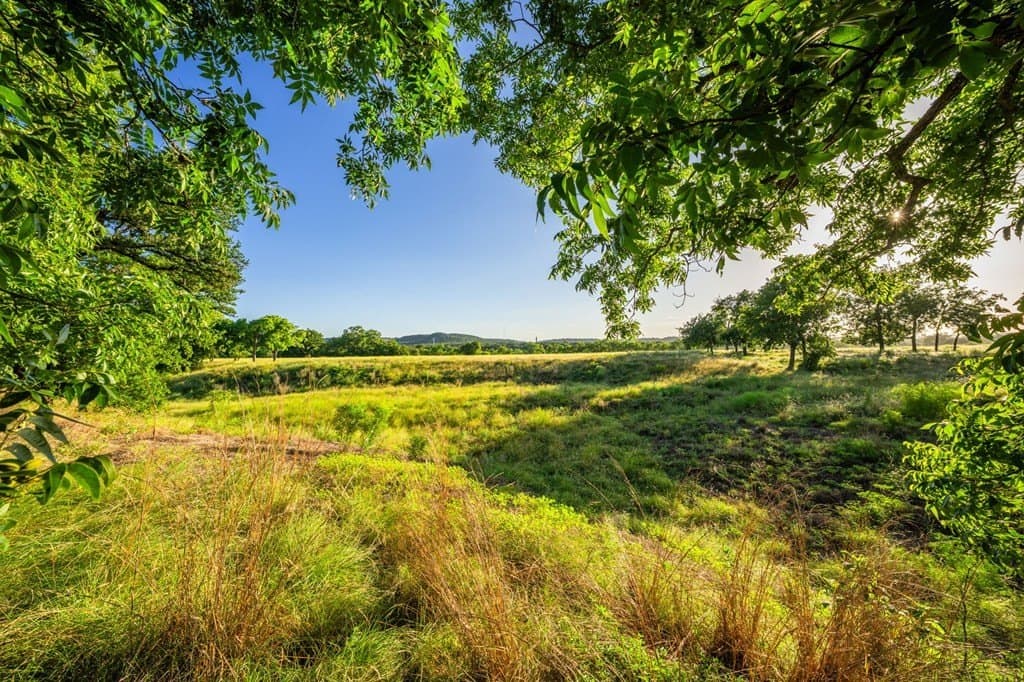 95.49 acres in Gillespie County - photo 39
