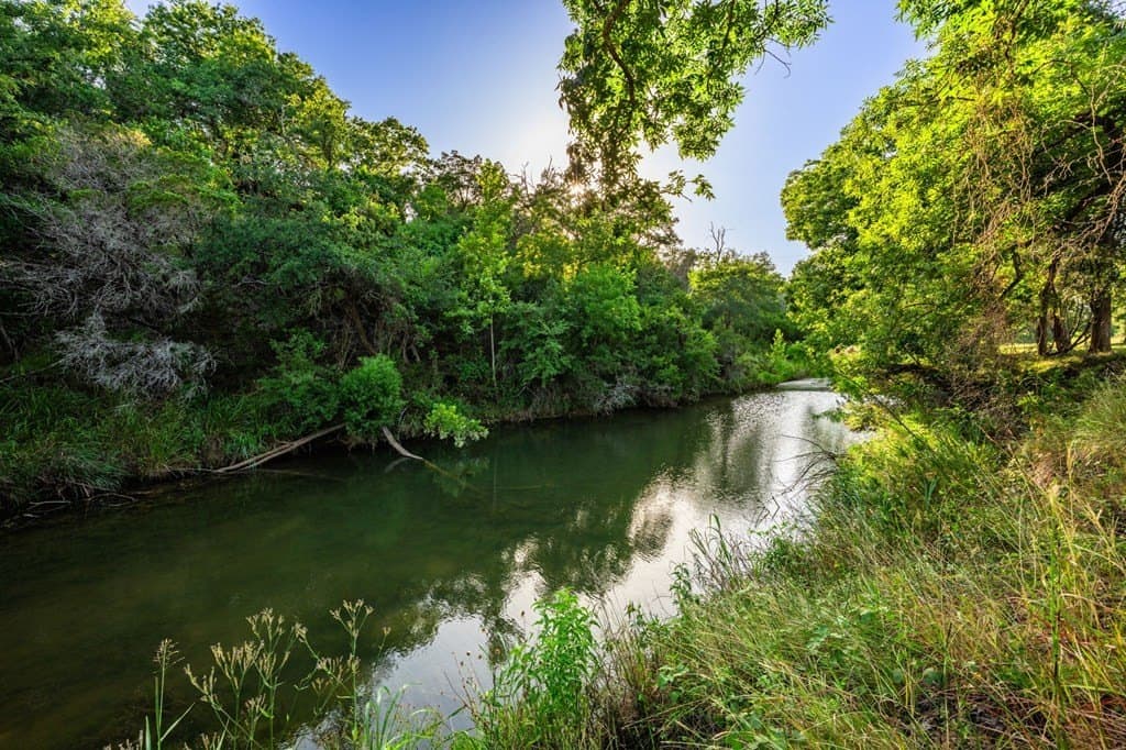 95.49 acres in Gillespie County gallery image 4