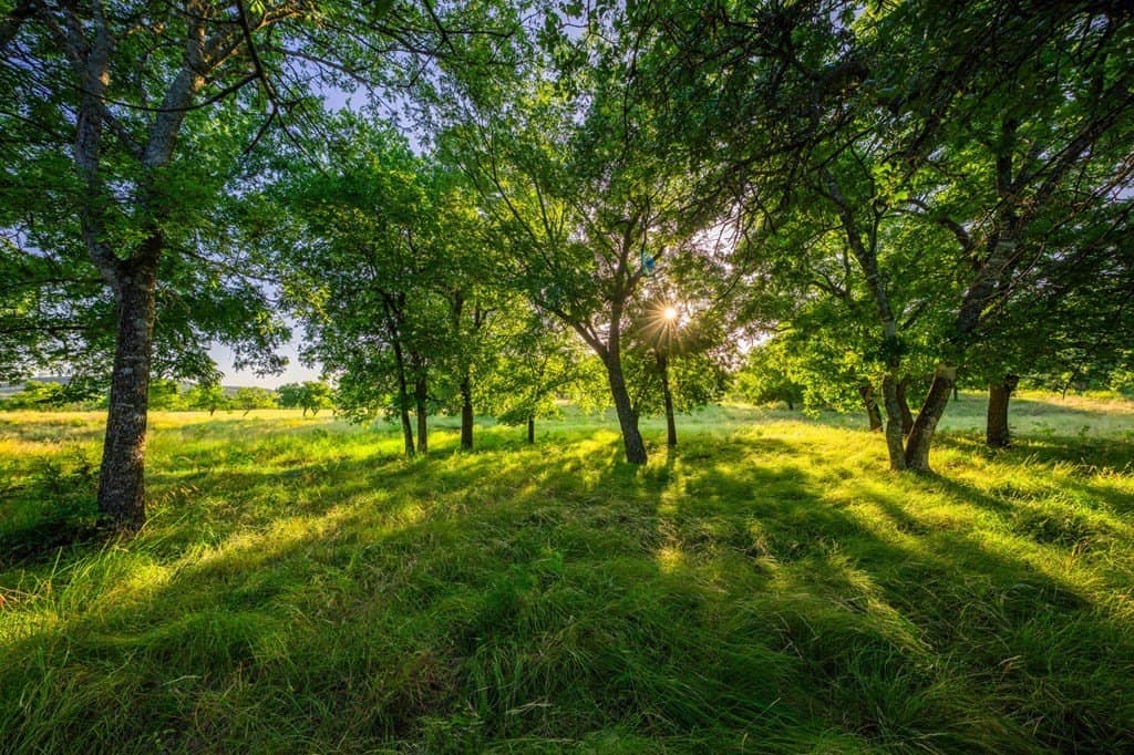 95.49 acres in Gillespie County - photo 7