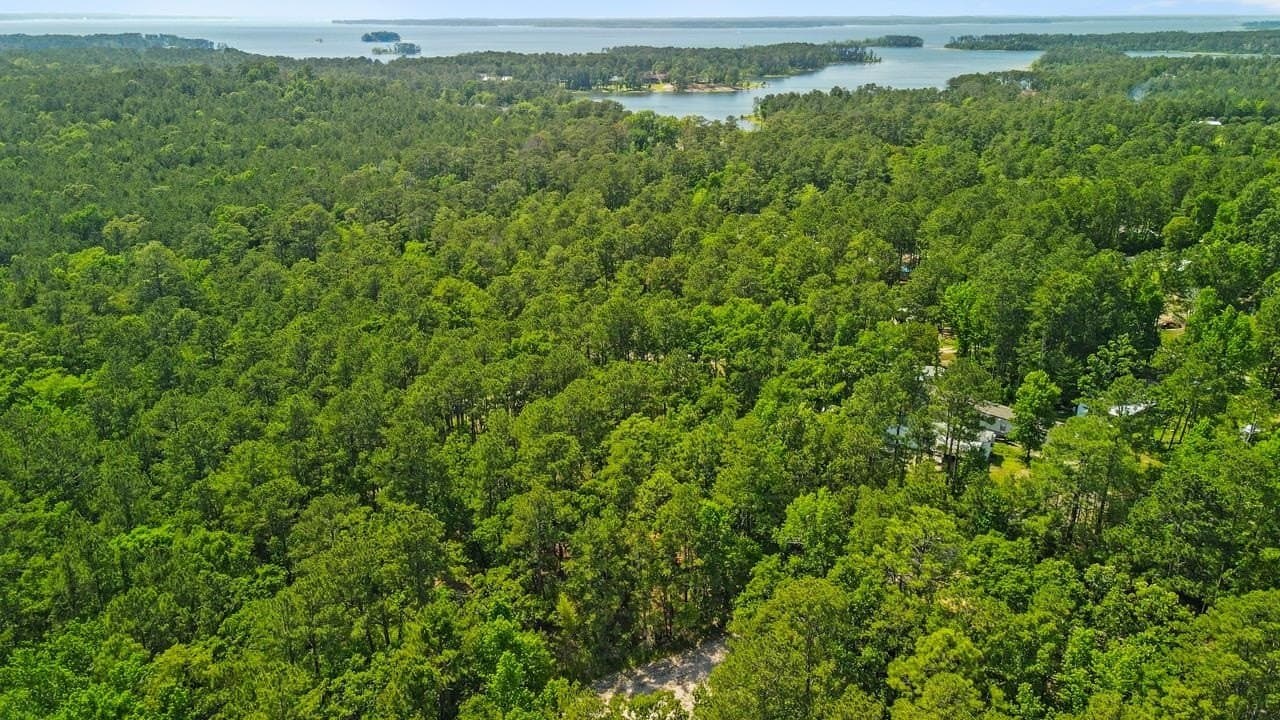 0.24 acres in Texas County gallery image 2