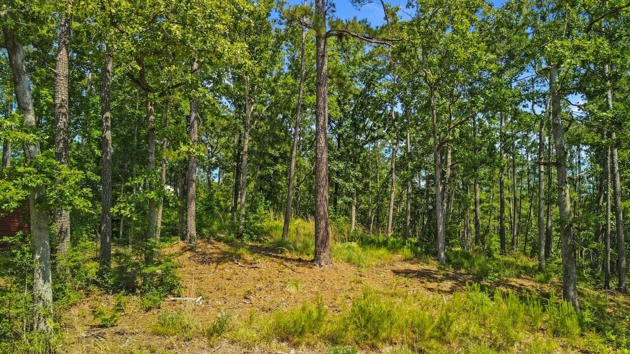 0.24 acres in Texas County featured view