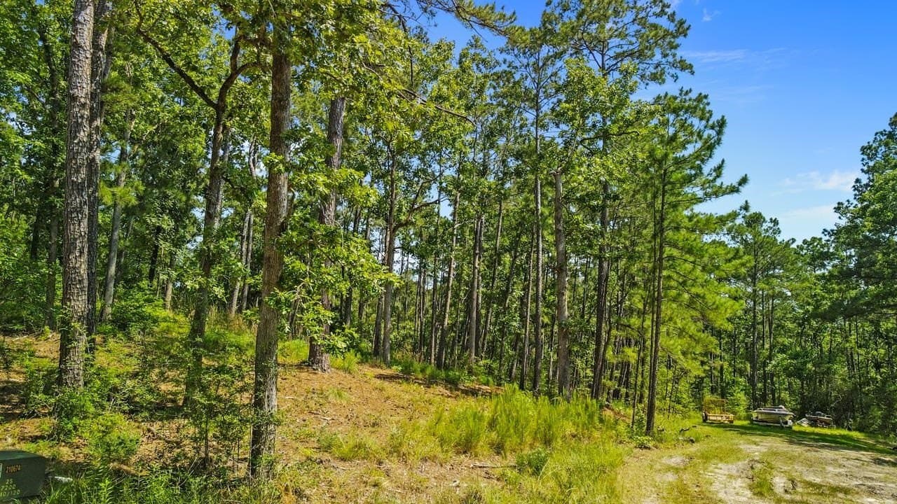 0.24 acres in Texas County gallery image 4