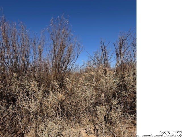 21.34 acres in Presidio County