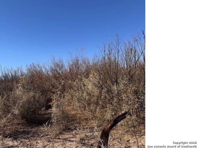 21.34 acres in Presidio County gallery image 3
