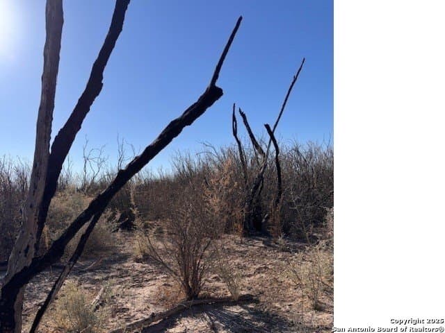 21.34 acres in Presidio County gallery image 2