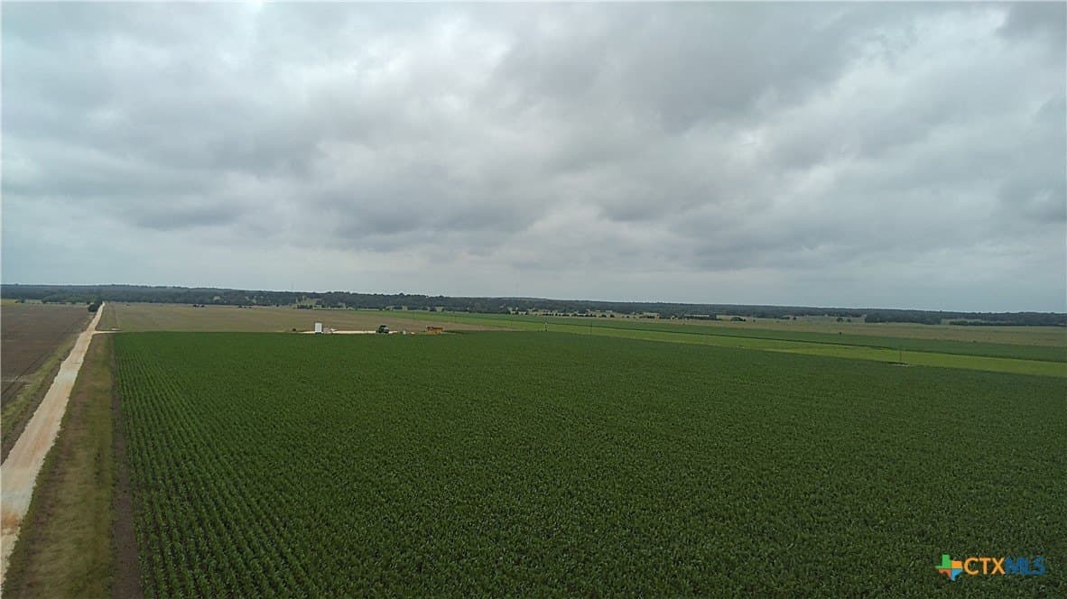 203 acres in Burleson County - photo 16