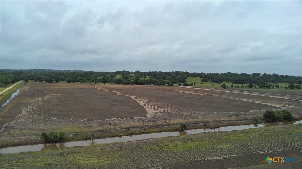 203 acres in Burleson County - photo 6