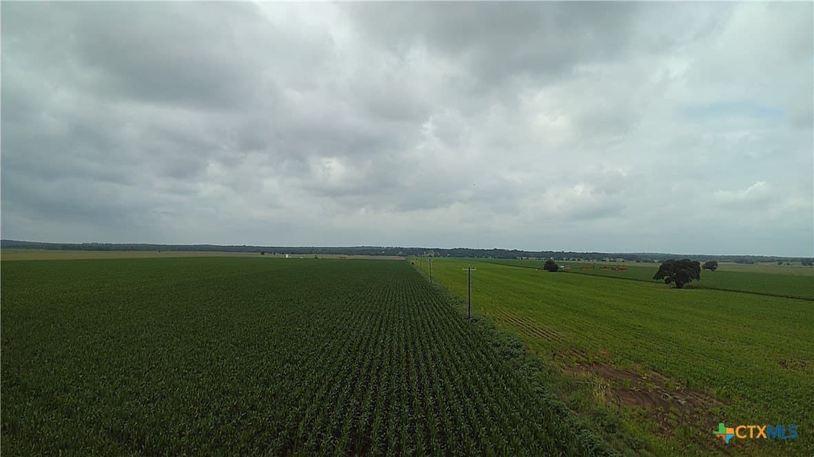 203 acres in Burleson County - photo 24