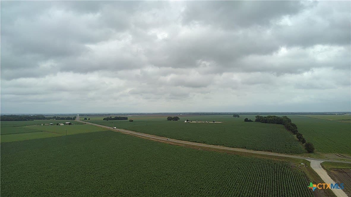 203 acres in Burleson County - photo 19