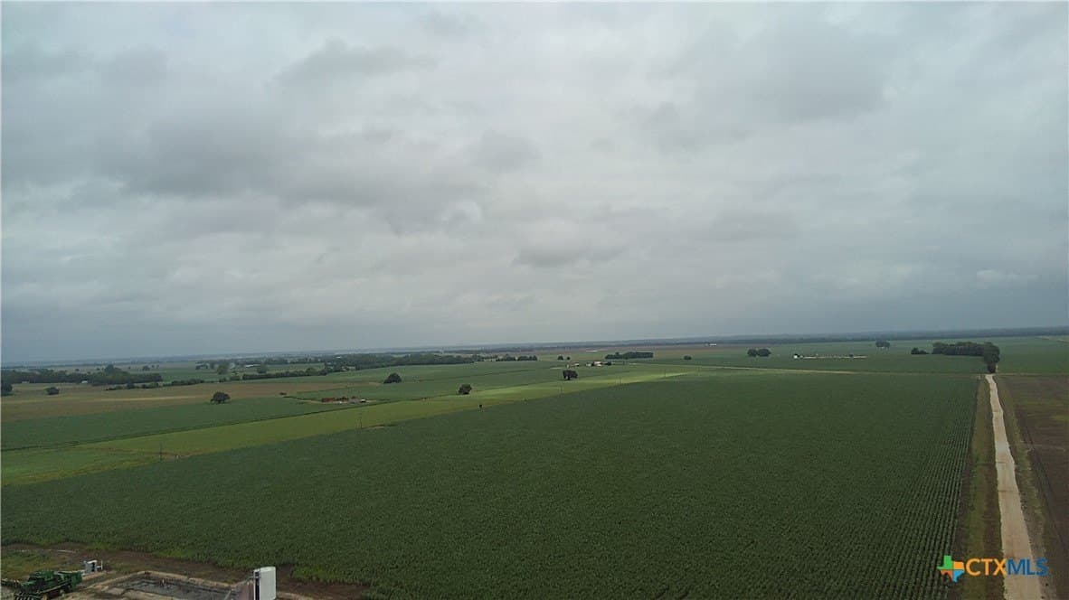 203 acres in Burleson County - photo 10