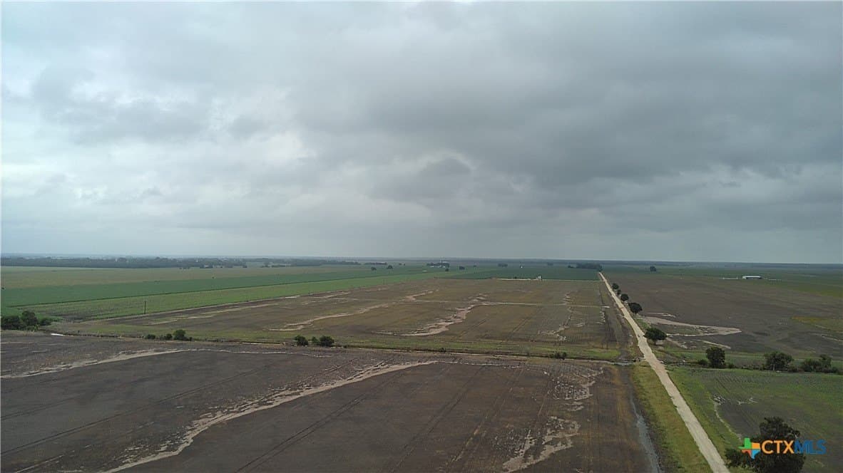 203 acres in Burleson County gallery image 3