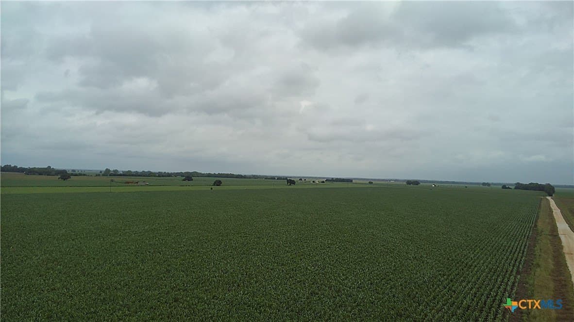 203 acres in Burleson County - photo 12