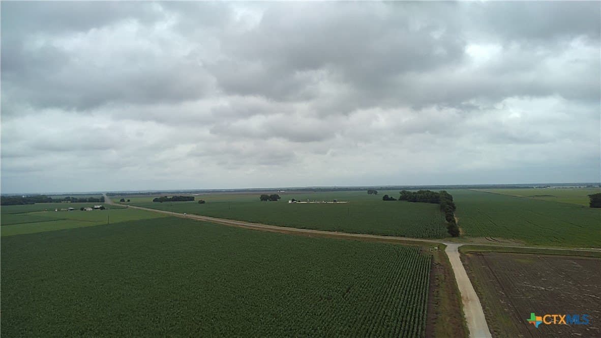 203 acres in Burleson County - photo 17