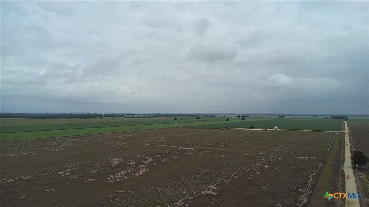 203 acres in Burleson County - photo 7
